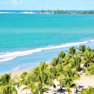 Alambique_Isla_Verde_palm_beach_photo